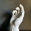 Hand Study