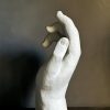 Hand Study