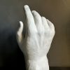 Hand Study