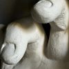 Hand Study