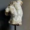 Apollo Torso Apollo Torso