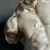 Apollo Torso Apollo Torso