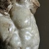 Apollo Torso Apollo Torso
