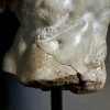 Apollo Torso Apollo Torso