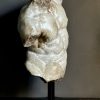 Apollo Torso Apollo Torso