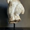 Apollo Torso Apollo Torso