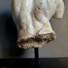 Apollo Torso Apollo Torso