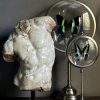 Apollo Torso