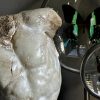 Apollo Torso Apollo Torso