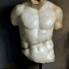 Discophorus Torso Discophorus Torso