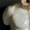 Discophorus Torso Discophorus Torso