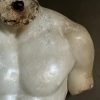 Discophorus Torso Discophorus Torso