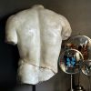 Discophorus Torso Discophorus Torso