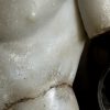 Discophorus Torso Discophorus Torso