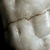 Discophorus Torso Discophorus Torso