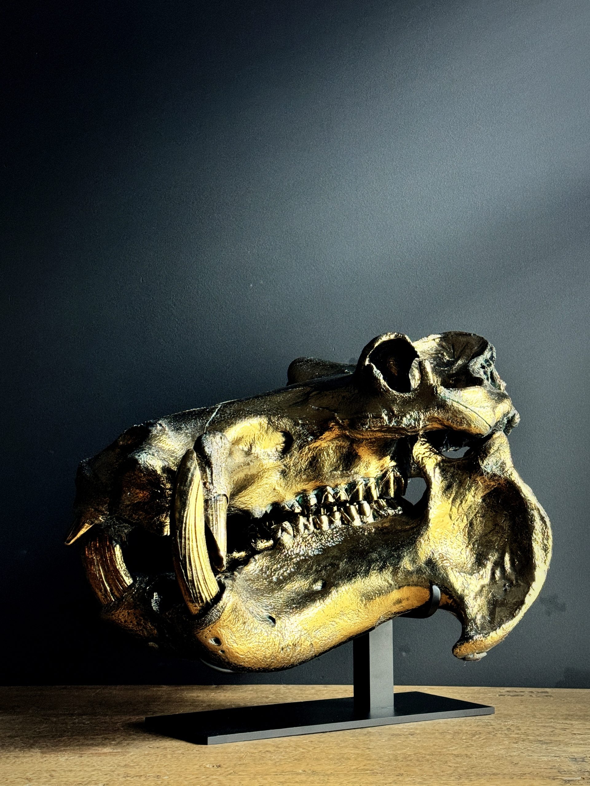 Brons gemetalliseerde schedel van een nijlpaard