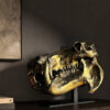 Bronze skull of a hippopotamus
