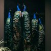 Hoge resolutie afdruk "PEACOCKS".