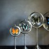Set van 3 Vlinders op klassiek standaard (M)