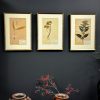 Antieke Zweedse herbarium pagina's.