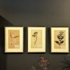 Antieke Zweedse herbarium pagina's.