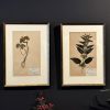Antieke Zweedse herbarium pagina's.