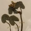 Antieke Zweedse herbarium pagina's.