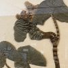 Antieke Zweedse herbarium pagina's.