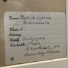 Antieke Zweedse herbarium pagina's.