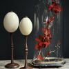 Antieke stolp met rode vlinders Antieke stolp met rode vlinders