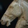 Replica marmeren paardenhoofd. Replica marmeren paardenhoofd.