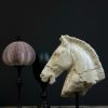 Replica marmeren paardenhoofd. Replica marmeren paardenhoofd.