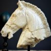 Replica marmeren paardenhoofd. Replica marmeren paardenhoofd.