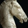 Replica marmeren paardenhoofd. Replica marmeren paardenhoofd.