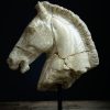 Replica marmeren paardenhoofd. Replica marmeren paardenhoofd.