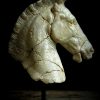 Replica marmeren paardenhoofd. Replica marmeren paardenhoofd.