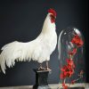 Opgezette witte haan op een klassieke console Opgezette witte haan op een klassieke console