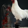 Opgezette witte haan op een klassieke console