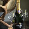 Luxe Champagnekoeler gewei