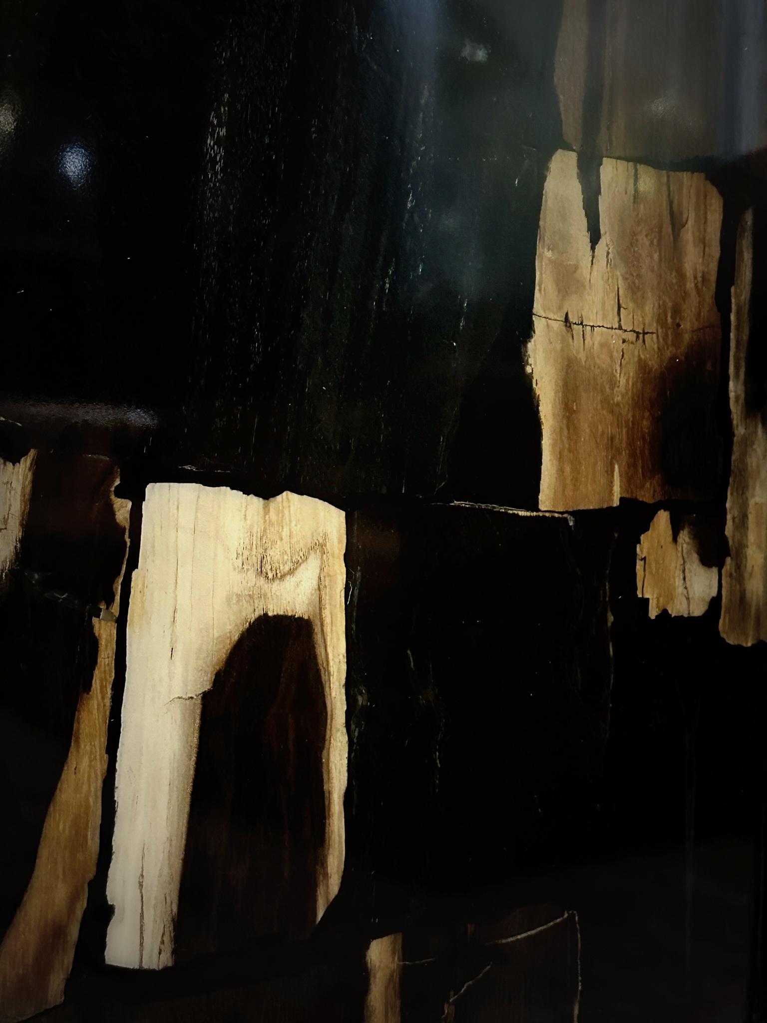 Gefossiliseerd houten bijzettafel
