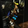 Design vitrine met kleurrijke vlinders