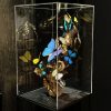 Design vitrine met kleurrijke vlinders