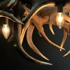 Lamp van gewei