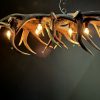 Lamp van gewei