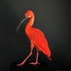 Opgezette ibis