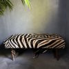 Geweibank zebra Geweibank zebra