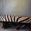 Geweibank zebra Geweibank zebra