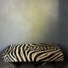 Geweibank zebra Geweibank zebra
