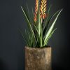 Antieke houten pot