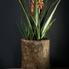 Antieke houten pot Antieke houten pot